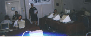 tigerden