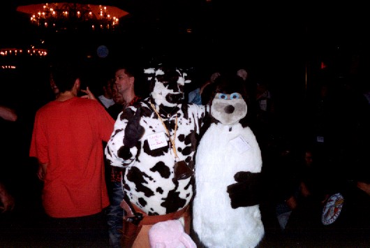 Bleis-AC2001-24