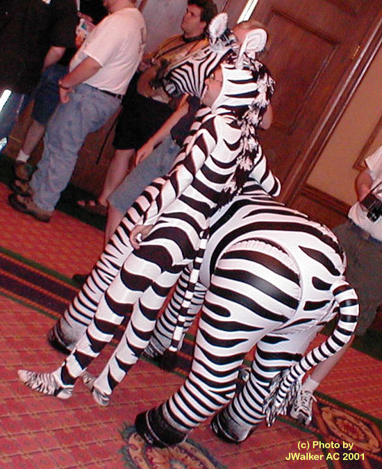 dia-zebraman