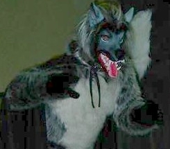 teenwolf.jpg