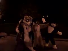 Halloween2005-2006photo Trailer low