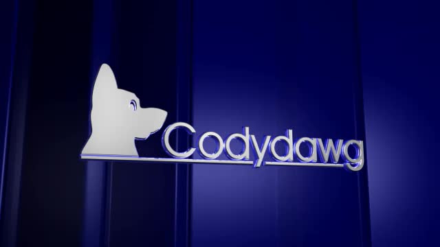 2010 Codydawg ACoolTime 360p