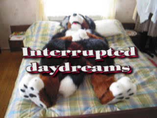 Berni - Interrupted Daydreams