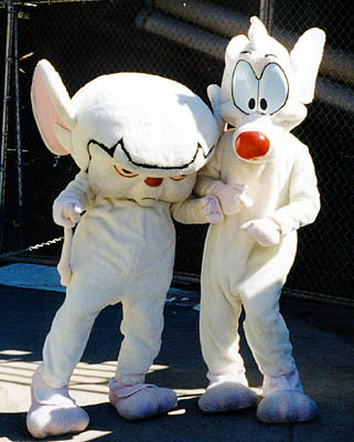 pinky and the brain costume