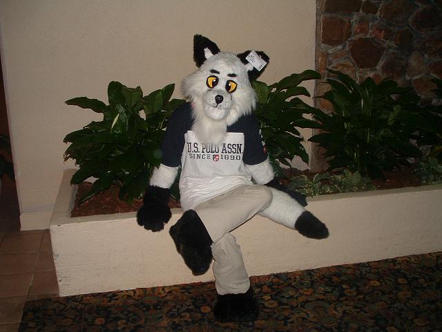 whitefoxpartial3.jpg