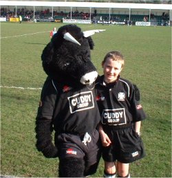 Neath Mascot Brian the bull