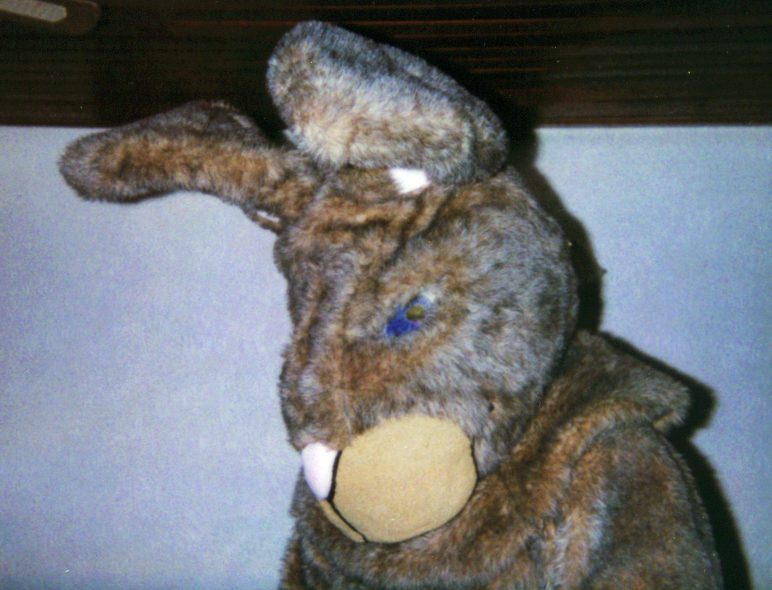 bunnyhead2