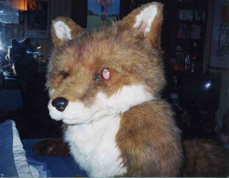 fox11