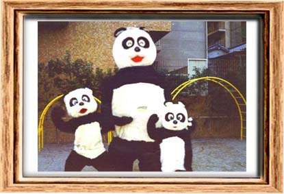 3-panda-cp