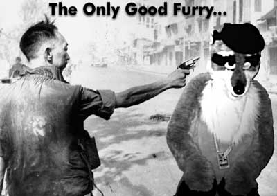 onlygoodfurry