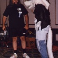 Roadkill1