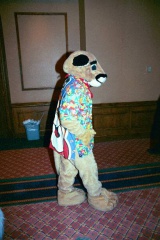 Nikon AC2001 0727 106