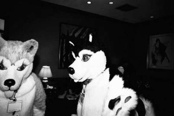 Nikon AC2001 0727 136