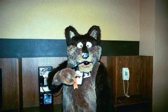 Nikon AC2001 0728 029