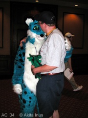 Akita AC2004 044