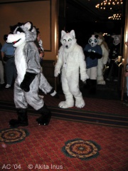 Akita AC2004 061 Parade