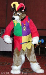 Akita AC2004 097 DeadDogs