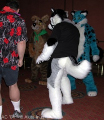 Akita AC2004 099 DeadDogs