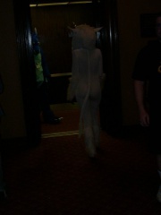 Cloudchaser AC2004 060