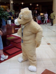 BungeeSkunk AC2005 088