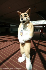 AkitaInus AC2006 013