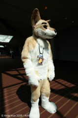 AkitaInus AC2006 015