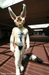AkitaInus AC2006 022