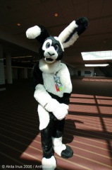 AkitaInus AC2006 039