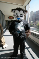 AkitaInus AC2006 050