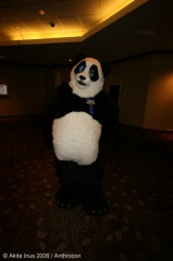 AkitaInus AC2006 056