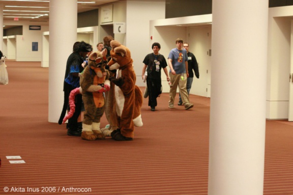 AkitaInus AC2006 060