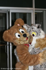 AkitaInus AC2006 070