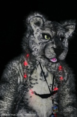 AkitaInus AC2006 109