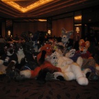 TwitchDaWoof AC2006 085