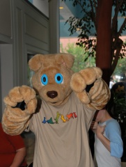 Timduru AC2011 4265 e