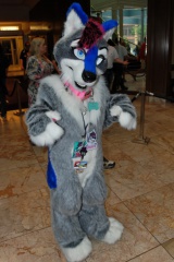 Timduru AC2011 4269 e