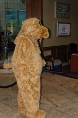 Timduru AC2011 4277 e