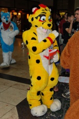 Timduru AC2011 4283 e