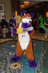 Timduru AC2011 4285 e