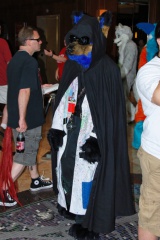 Timduru AC2011 4288 e