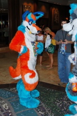 Timduru AC2011 4293 e