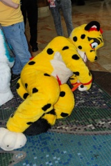 Timduru AC2011 4295 e