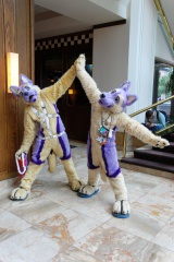 Timduru AC2011 4299 e