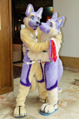 Timduru AC2011 4302 e