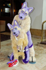 Timduru AC2011 4303 e