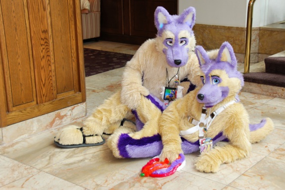 Timduru AC2011 4307 e