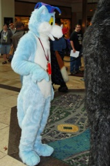 Timduru AC2011 4308 e