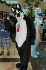 Timduru AC2011 4309 e