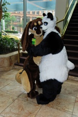 Timduru AC2011 4319 e