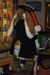 Timduru AC2011 4330 e